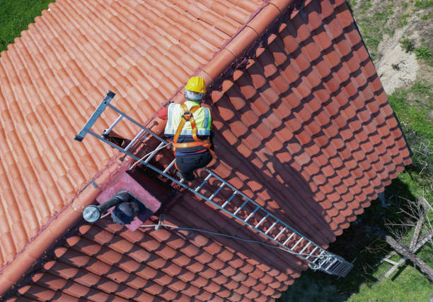Best Skylight Installation and Repair  in Tylertown, MS